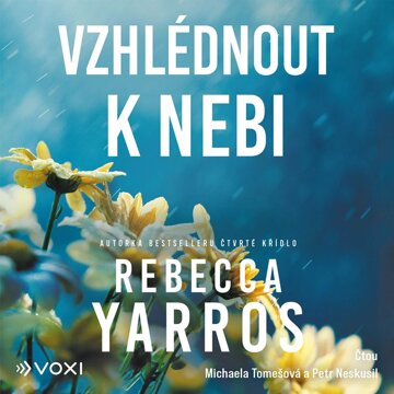 Obálka audioknihy Vzhlédnout k nebi