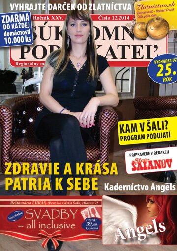 Obálka e-magazínu Súkromný podnikateľ 12/2014