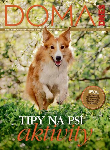 Obálka e-magazínu Doma DNES 29.5.2019