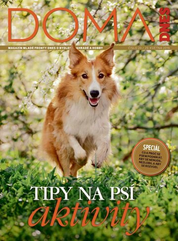 Obálka e-magazínu Doma DNES 29.5.2019