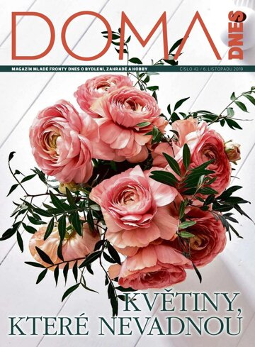 Obálka e-magazínu Doma DNES 6.11.2019