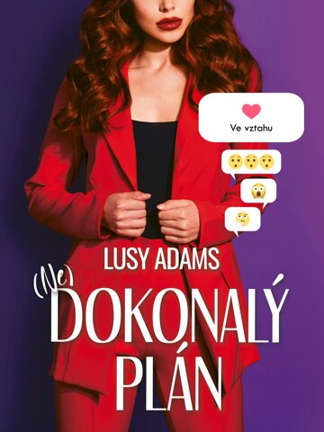 Obálka knihy Dokonalý plán