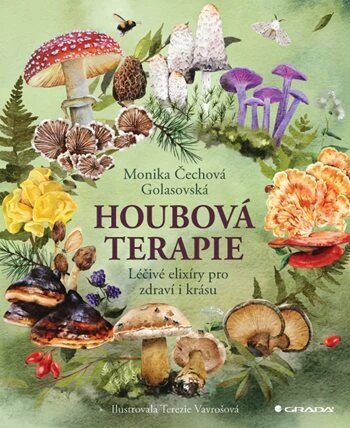 Obálka knihy Houbová terapie