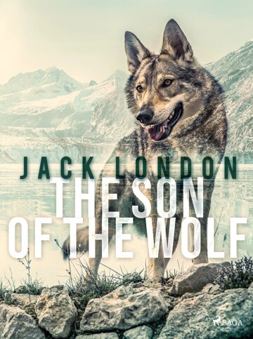 Obálka knihy The Son of the Wolf