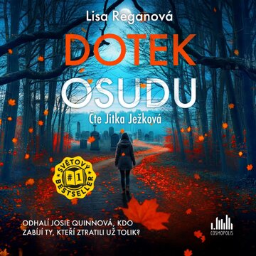 Obálka audioknihy Dotek osudu