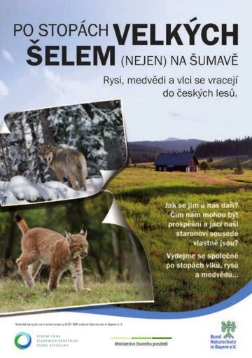 Obálka e-magazínu Po stopách velkých šelem (nejen na Šumavě)