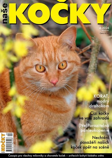 Obálka e-magazínu Naše kočky 4/2026