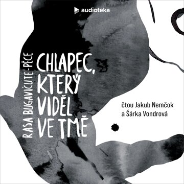 Obálka audioknihy Chlapec, který viděl ve tmě