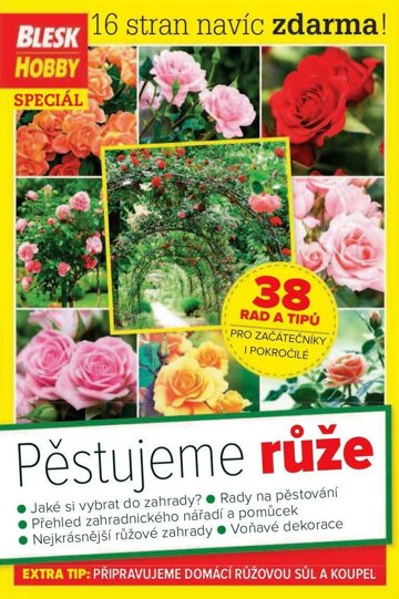 Obálka e-magazínu Příloha Blesk Hobby 5/2019