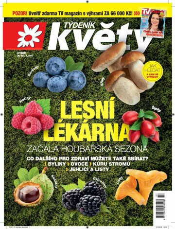 Obálka e-magazínu Týdeník Květy 37/2020