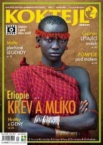 Obálka e-magazínu Koktejl 2014 leden