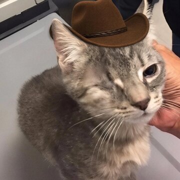 Obálka uvítací melodie Pane šerife