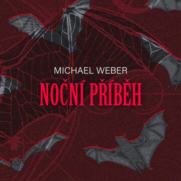 Obálka audioknihy Noční příběh