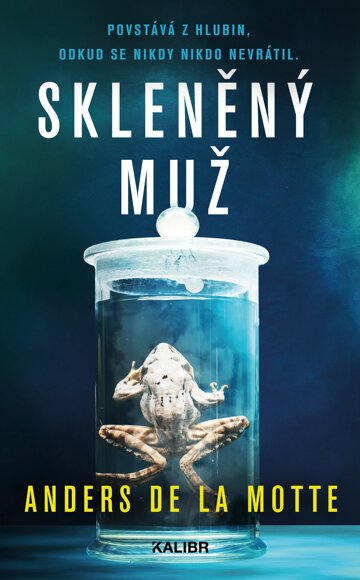 Obálka knihy Skleněný muž