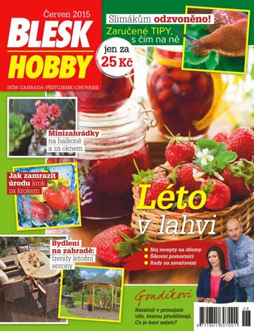 Obálka e-magazínu Blesk Hobby 3.6.2015
