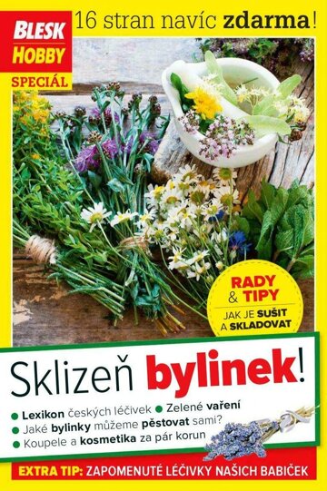 Obálka e-magazínu Příloha Blesk Hobby 7/2019