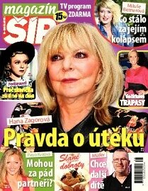 Obálka e-magazínu Magazín Šíp 38/2013