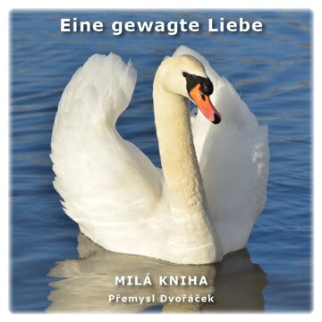 Obálka knihy Eine gewagte Liebe