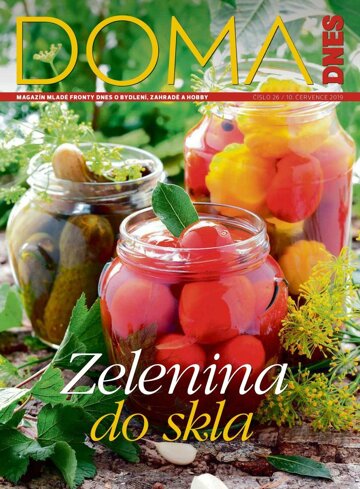 Obálka e-magazínu Doma DNES 10.7.2019