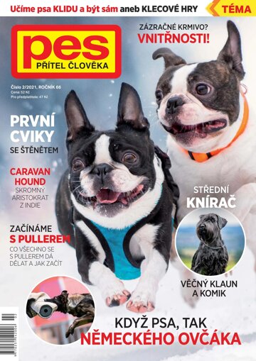 Obálka e-magazínu Pes přítel člověka 2/2021
