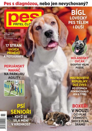 Obálka e-magazínu Pes přítel člověka