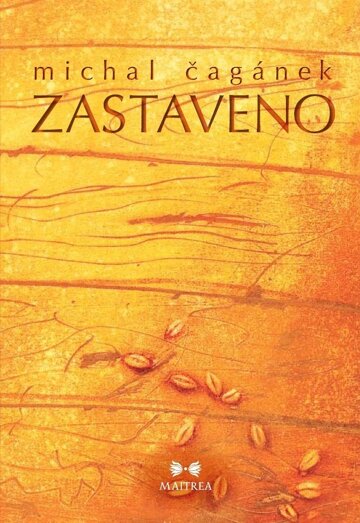 Obálka knihy Zastaveno