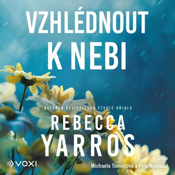 Obálka audioknihy Vzhlédnout k nebi