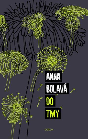 Obálka knihy Do tmy