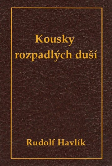 Obálka knihy Kousky rozpadlých duší