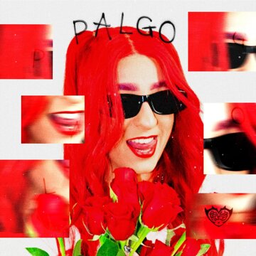 Obálka uvítací melodie Palgo