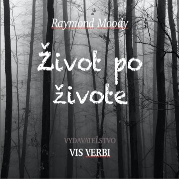 Obálka audioknihy Život po živote