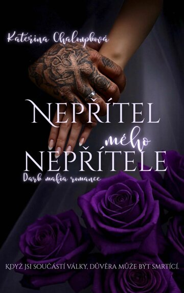Obálka knihy Nepřítel mého nepřítele