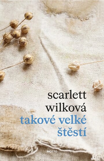 Obálka knihy Takové velké štěstí