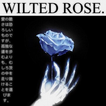 Obálka uvítací melodie WILTED ROSE