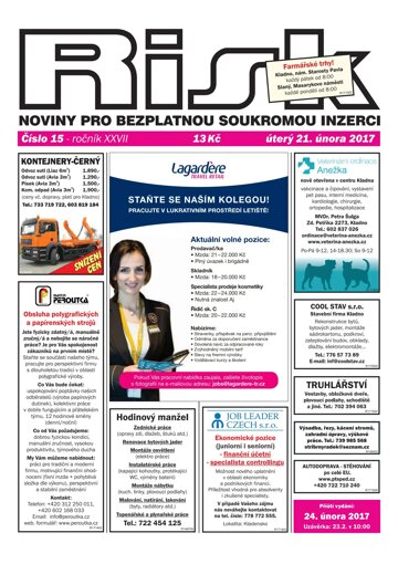 Obálka e-magazínu Risk 15/2017