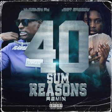 Obálka uvítací melodie 40 Sum Reasons (Remix)