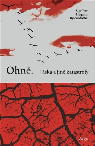 Obálka knihy Ohně. Láska a jiné katastrofy