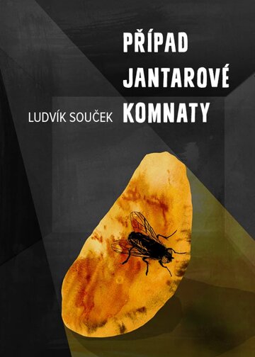 Obálka knihy Případ Jantarové komnaty