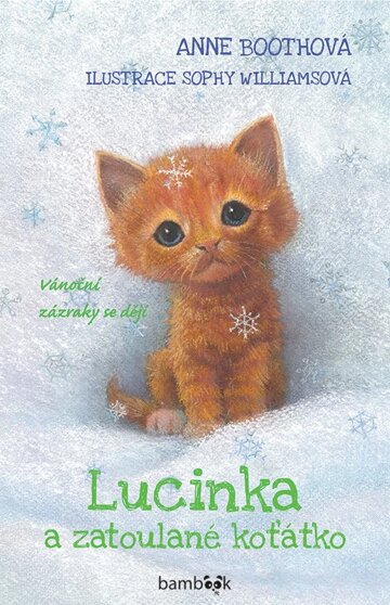 Obálka knihy Lucinka a zatoulané koťátko