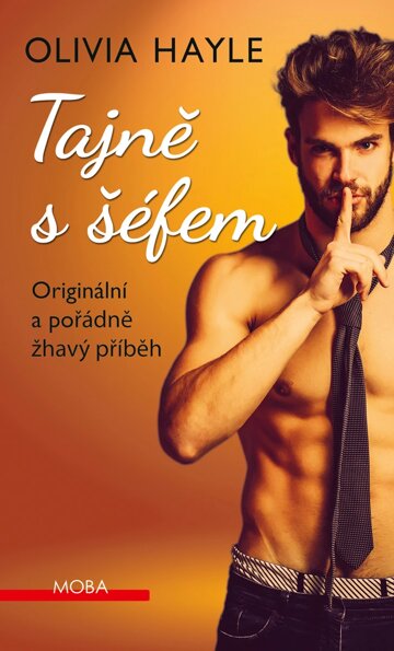 Obálka knihy Tajně s šéfem