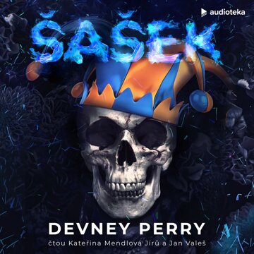 Obálka audioknihy Šašek