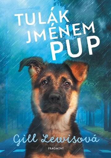 Obálka knihy Tulák jménem Pup