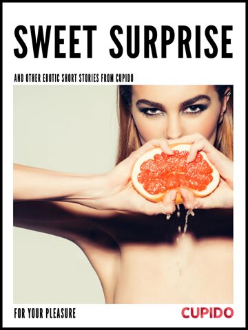 Obálka knihy Sweet surprise - and other erotic short stories