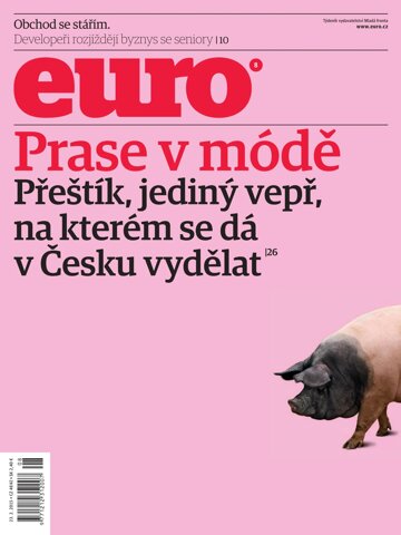 Obálka e-magazínu EURO 8/2015
