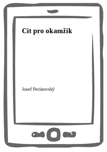 Obálka knihy Cit pro okamžik