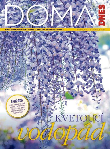 Obálka e-magazínu Doma DNES 31.7.2019