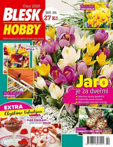 Obálka e-magazínu Blesk Hobby 2/2020