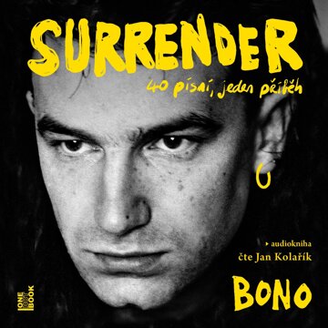 Obálka audioknihy Surrender: 40 písní, jeden příběh