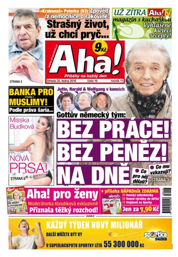 Obálka e-magazínu AHA! 20.1.2016