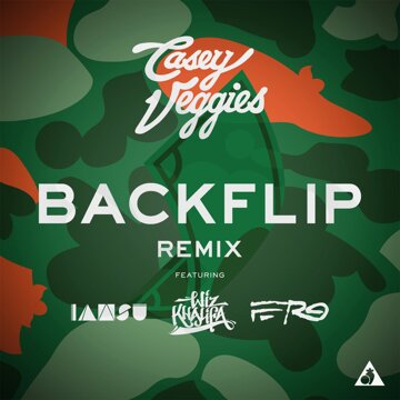 Obálka uvítací melodie Backflip (Remix)